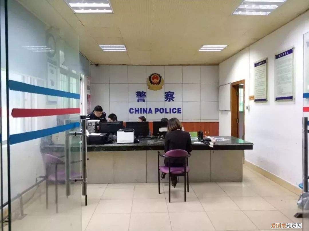 我有只萨摩耶狗狗丢失了，不知道怎么样去寻找 萨摩耶丢了千万别去找