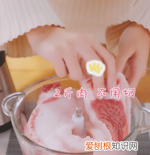 家庭绞肉机如何使用，九阳绞肉机怎么使用视频教程