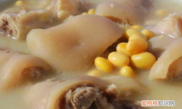 通草水怎么煮 通草水如何煮