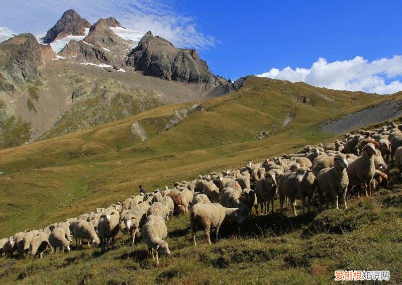 全球20大史诗般壮美的步道