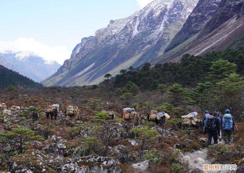 全球20大史诗般壮美的步道