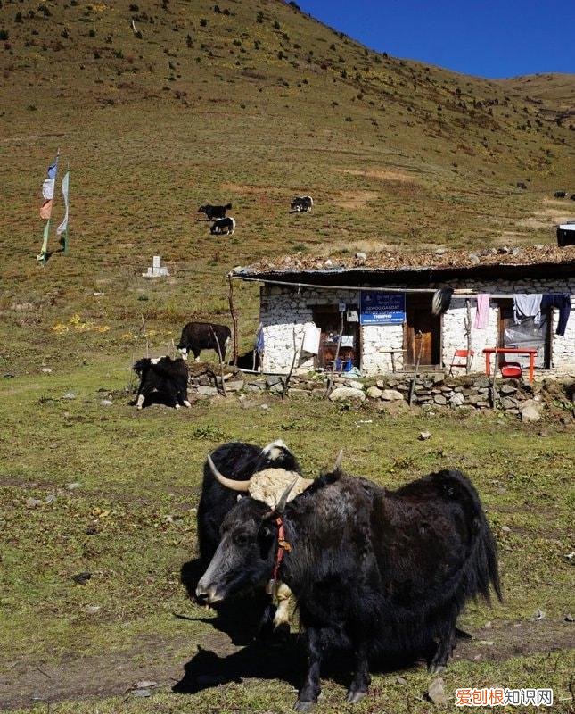 全球20大史诗般壮美的步道