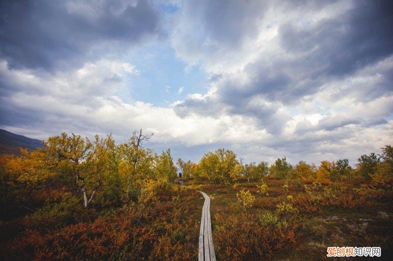 全球20大史诗般壮美的步道