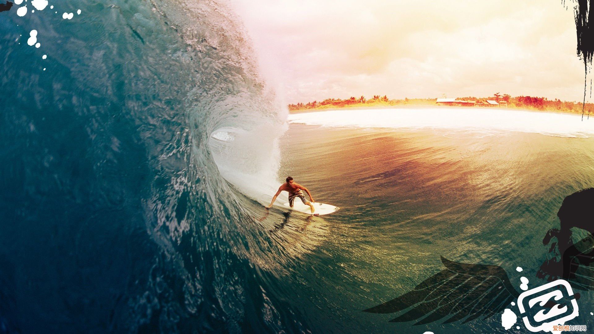 全球十大禁歌 全球十大禁播片