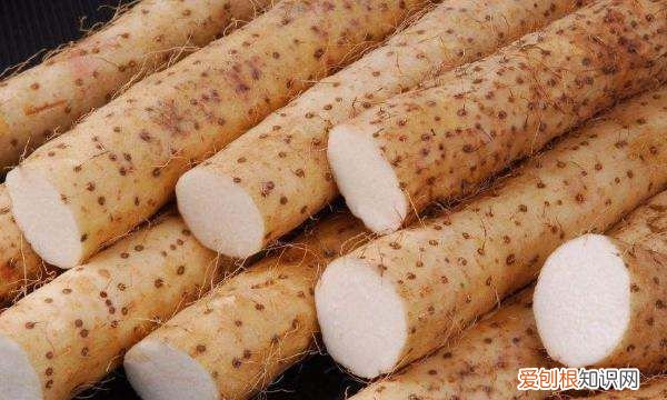 河南农历十月种什么蔬菜,寒露种植什么蔬菜 寒露种植哪些蔬菜