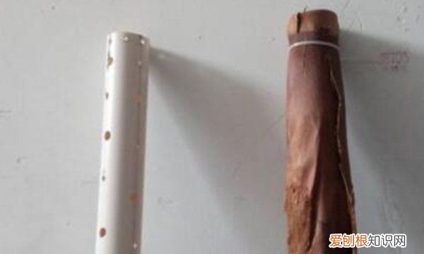 绿萝柱怎么做好看,绿萝桩的简便制作方法