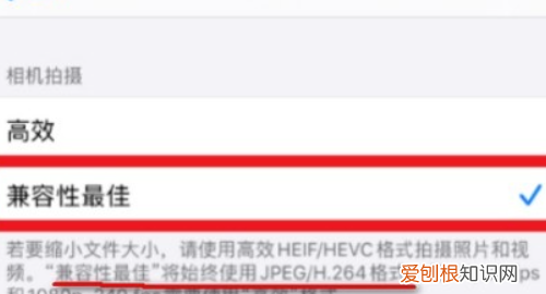 苹果照片怎么存成jpg格式，苹果手机jpg格式图片怎么弄