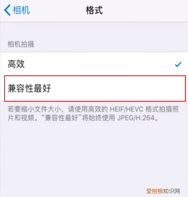 苹果照片怎么存成jpg格式，苹果手机jpg格式图片怎么弄