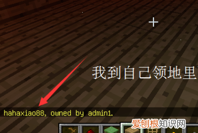 我的世界怎么取消地皮权限,我的世界怎么删除别人地皮权限