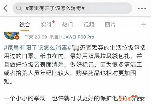 关于丢垃圾我有一个想法解析,呼吁大家不要乱扔垃圾的作文