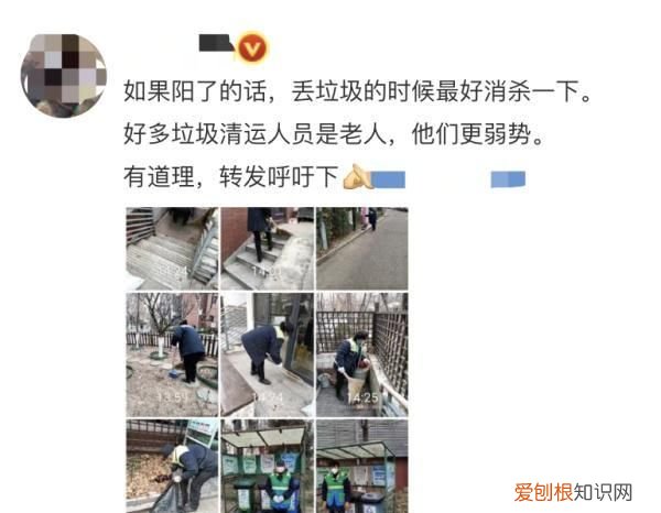 关于丢垃圾我有一个想法解析,呼吁大家不要乱扔垃圾的作文