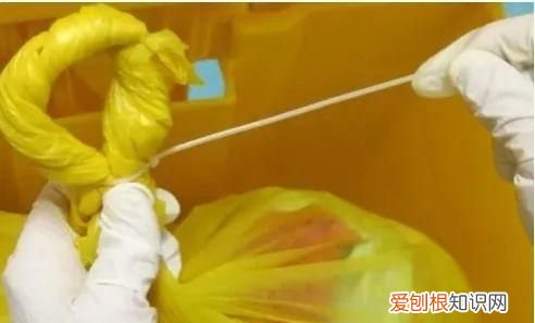 关于丢垃圾我有一个想法解析,呼吁大家不要乱扔垃圾的作文