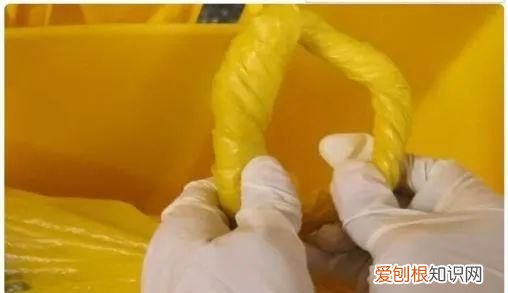 关于丢垃圾我有一个想法解析,呼吁大家不要乱扔垃圾的作文