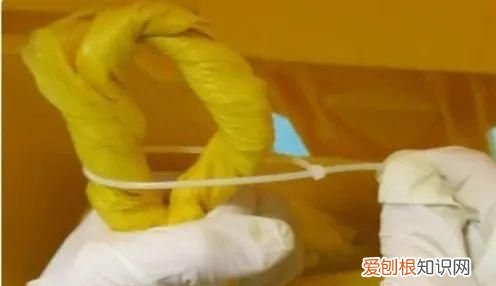 关于丢垃圾我有一个想法解析,呼吁大家不要乱扔垃圾的作文