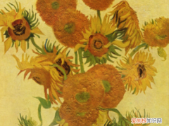 向日葵介绍，云南向日葵介绍