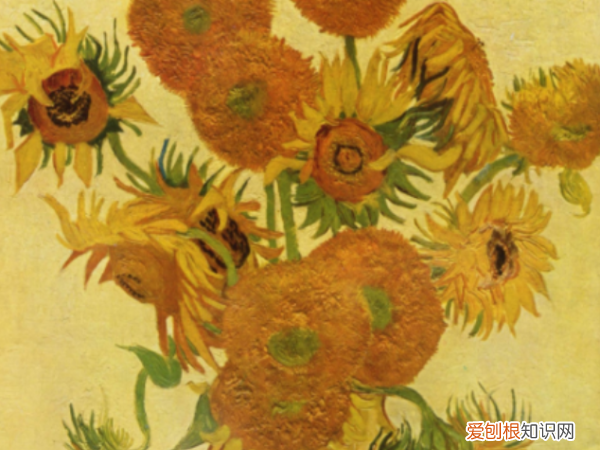 向日葵介绍,云南向日葵介绍