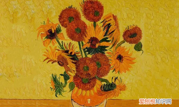 向日葵介绍，云南向日葵介绍