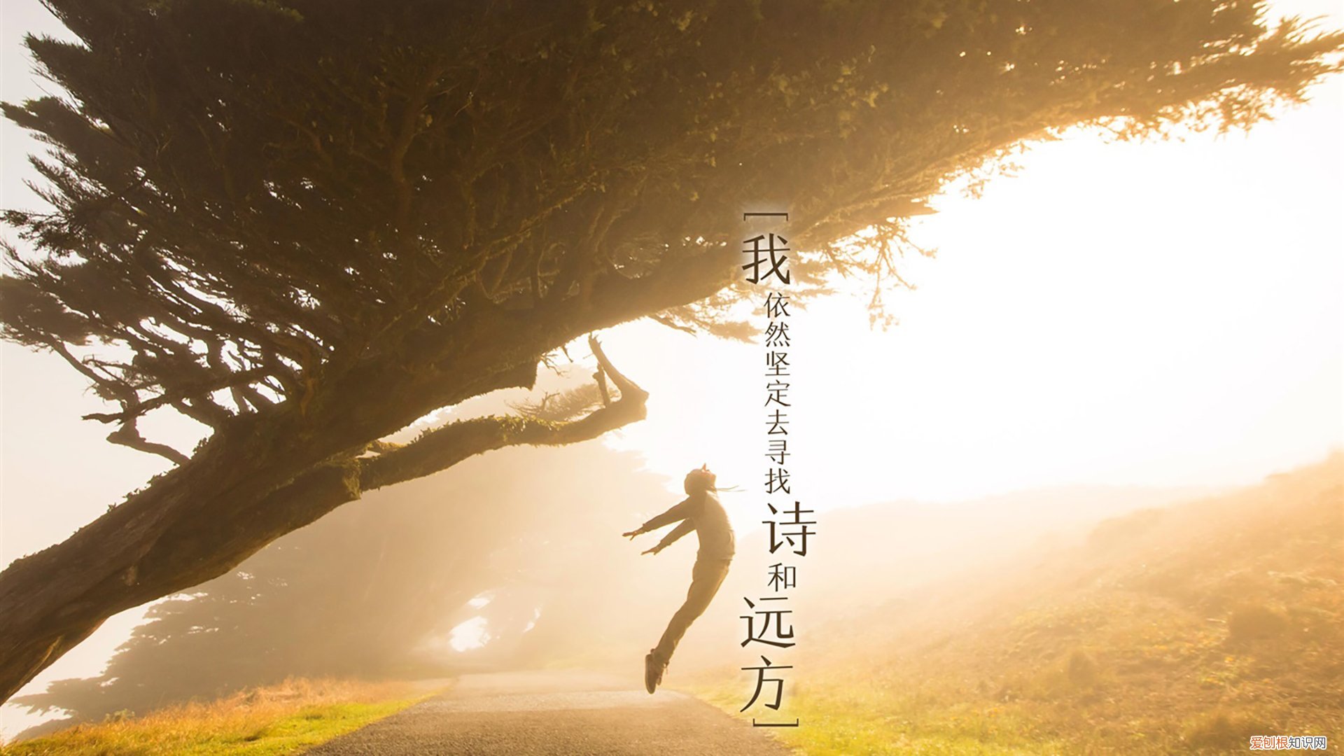 热转印机哪家好 热转印打印机哪个好