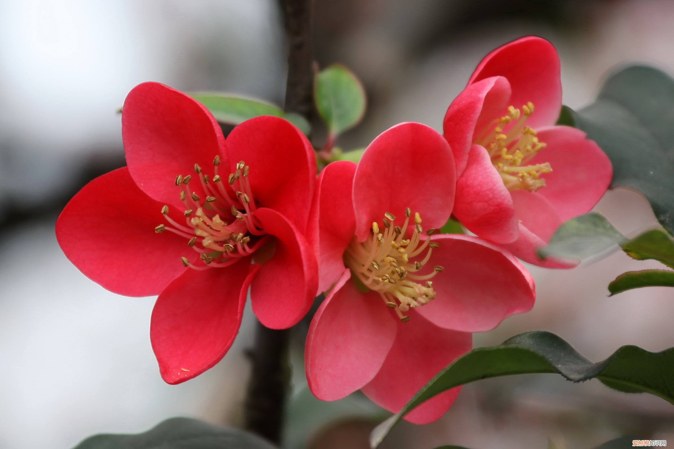 人家叫你富婆有几种意思,有人说我是富婆怎么回复