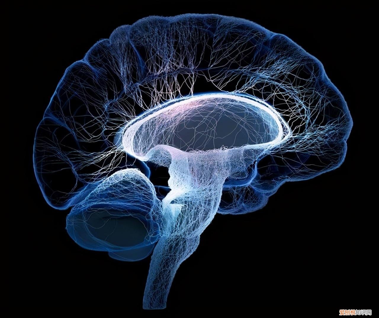 人类寿命极限是多少,知乎 人类寿命极限是多少