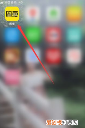 闲鱼怎么不能搜用户了