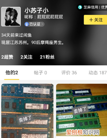 闲鱼怎么不能搜用户了