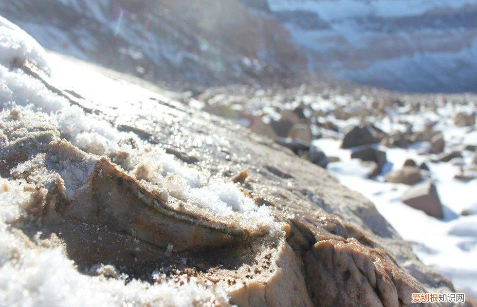 人类能在火星上存活吗 人类在火星上能存活多久