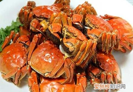 无痛人流后可以喝碳酸饮料吗 人流后可以喝碳酸饮料吗