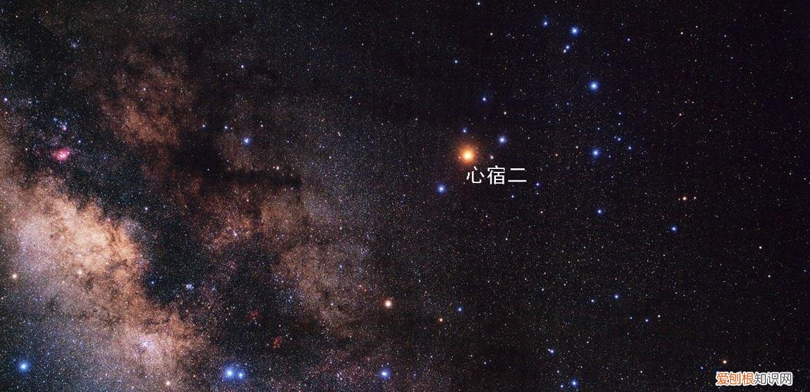 人生不相见动如参与商代表什么意思 人生不相见,动如参与商是什么意思