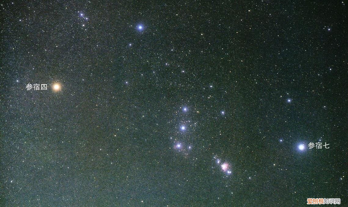 人生不相见动如参与商代表什么意思 人生不相见,动如参与商是什么意思