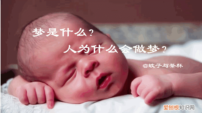 人为什么会做梦呢答案是什么 人为什么会做梦