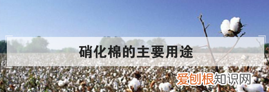 硝化棉是怎么发明的，硝化棉是什么生产的 硝化棉是什么成份