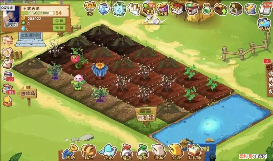 qq里面的情侣空间是所有好友都看得见的吗 情侣空间别人能看见吗