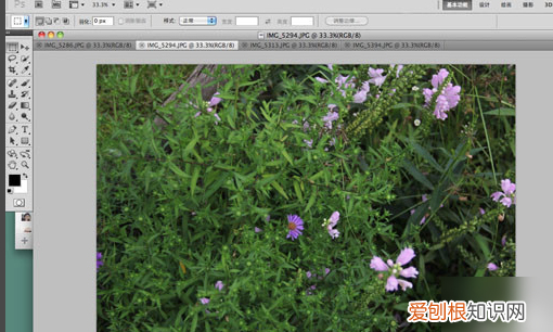 可以如何用PS批量裁剪,ps软件如何批量处理照片大小