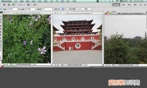 可以如何用PS批量裁剪,ps软件如何批量处理照片大小