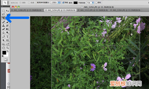 可以如何用PS批量裁剪,ps软件如何批量处理照片大小