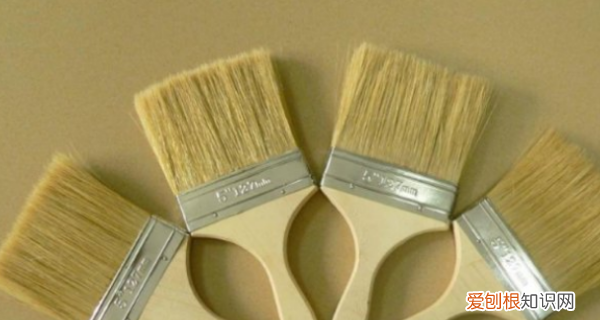 文玩核桃品种图鉴大全,文玩刷软硬猪鬃使用区别