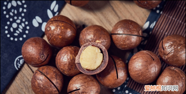 狗吃夏威夷果能自愈，狗狗吃夏威夷果中毒几天能恢复