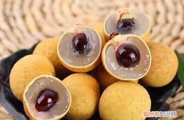 博白桂圆和普通桂圆的区别,桂圆糖分高 桂圆的糖分高不高
