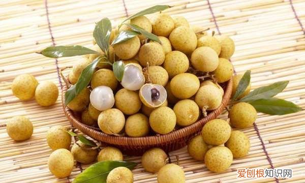 博白桂圆和普通桂圆的区别,桂圆糖分高 桂圆的糖分高不高