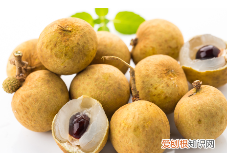 博白桂圆和普通桂圆的区别,桂圆糖分高 桂圆的糖分高不高