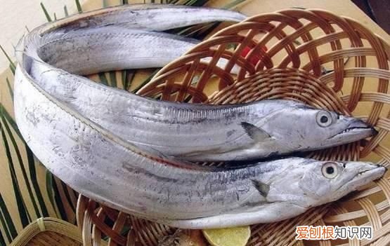 带鱼头为什么不能吃 带鱼头可不可以吃