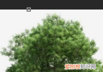 ps怎么拉伸局部不变形,ps怎么不改变比例拉伸图片