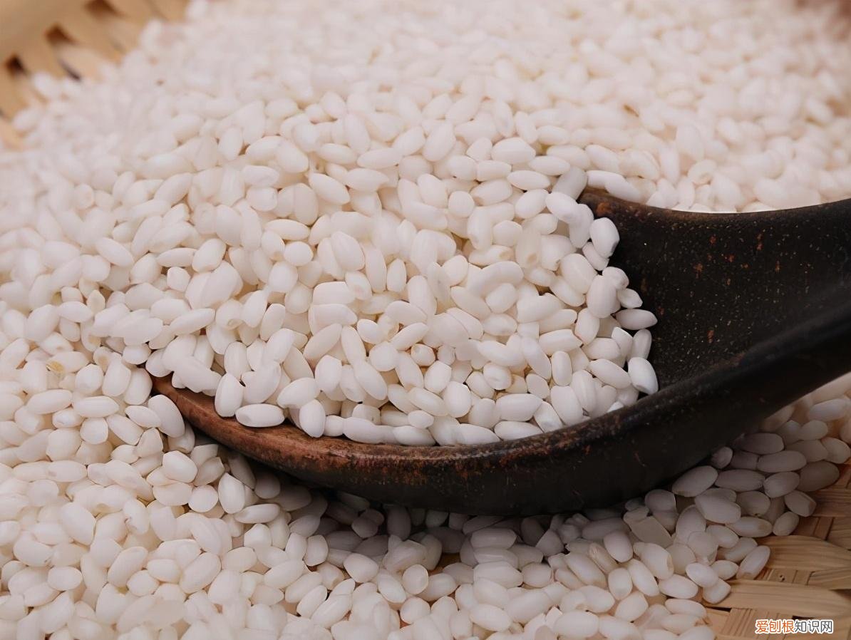 上海肉粽子的做法和配料 肉粽子的做法和配料