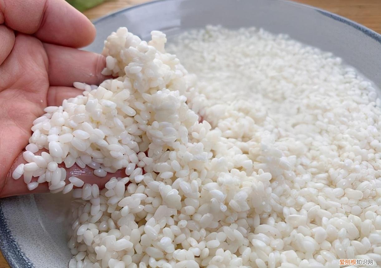 上海肉粽子的做法和配料 肉粽子的做法和配料