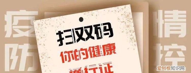 查双码什么意思,双码联查什么意思