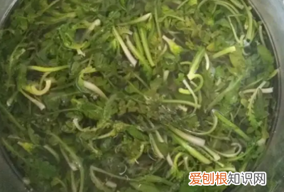 荠菜豆腐羹的做法,荠菜豆腐羹的家常做法