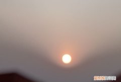 草莓苗能活多久，草莓苗怎么种植才容易活