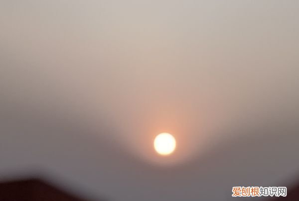 草莓苗能活多久，草莓苗怎么种植才容易活