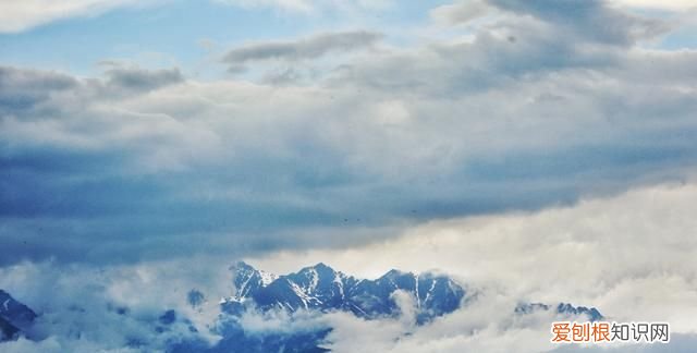 中国的普罗旺斯在哪里